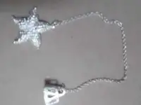 Серебряный ионизатор для воды - морская звезда