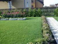 Укладка рулонного газона, фотография 5
