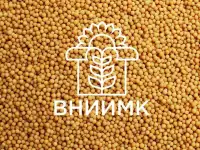Семена яровой горчицы ВНИИМК сорт Ниагара