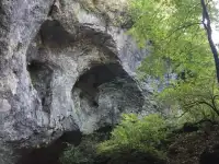 Конные экскурсии., фотография 3