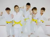 Айкидо в Краснодаре для детей и взрослых!