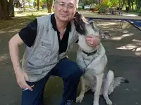 Кинолог: профессиональная дрессировка собак