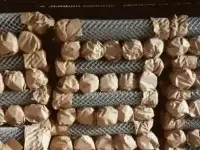 Сетка рабица оцинкованная