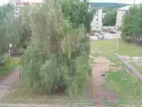 шкуры крс