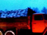 Дpoвa бepeзoвыe кoлoтыe или чуpки c дocтaвкoй, фотография 2