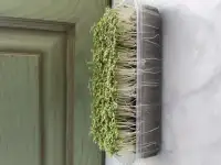 Микрозелень