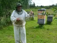 Мёд северный с лесной пасеки от пасечника, фотография 3