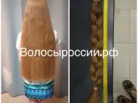 Купим ваши волосы дорого в Краснодаре