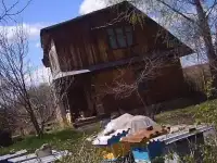 продам мед
