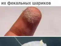 Химчистка диванов и мягкой мебели с выездом на дом, фотография 9