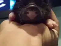 Микро пиги мини пиги минипиги, фотография 2