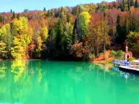 Авторские туры выходного дня, фотография 6