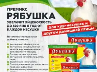 Премиксы Рябушка – залог высокой яйценоскости!