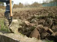 Разнорабочие, грузчики