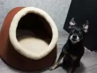 Домик-хижина для домашних животных