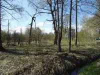 Участок ИЖС в центре пос. Рахья, фотография 2