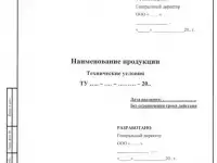 Разработка технических условий
