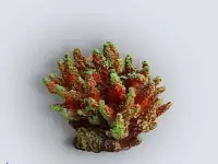 Аквариумные украшения, коралловые рифы
