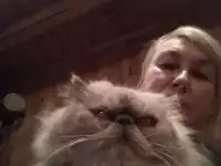 Ищем жениха