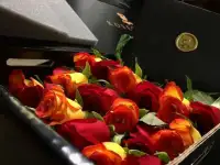 Розы Элитных Сортов из Эквадора в дизайнерской коробке. Подарок Премиум-класса, фотография 8
