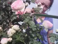 Ищу работу поваром