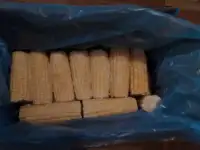 Кукуруза в початках