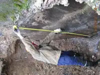 Строительно-техническая экспертиза
