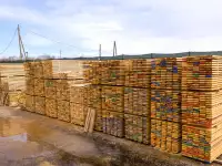 Доска 50х200х6000мм сорт-3