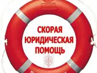 Профессиональный юрист