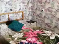 у метро черная речка 2ккв. посуточно, фотография 8