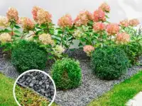Садовый пластиковый бордюр Геоборд для дорожек и клумб, фотография 4