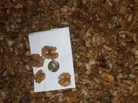 сухофрукты и орехи прайс