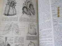 Большой французский энциклопедический визуальный толковый словарь  2109 страниц увеличенного формата 24 x 16 см Diction, фотография 4