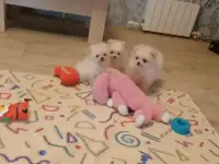 Подарочки