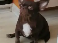 Серьезным людям