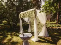 Ведущая, Тамада для Вашего праздника Заболотная Татьяна, фотография 8