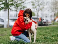 Собака Марфа в добрые руки, фотография 3