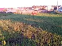 Участок 10сот. в центре с.Узюково, Ленина 155, фотография 2