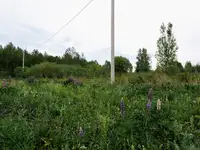 Продам земельный земельный участок, Коллективный сад n37 ост оао умпо тер, фотография 11