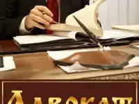 Судебный семейный юристадвокат: развод; раздел, алименты, дети, усыновление, родительские права, отцовство, опека, фотография 3
