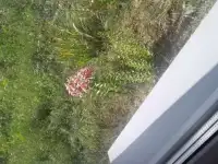 Сдаю 1-ую квартиру п.Новинки ЖК Акварель, фотография 7