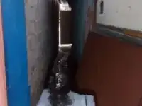продам дом 60,00 м2, фотография 4