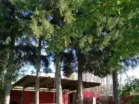 Сдаем Посуточно загородный коттедж в 15 км от Уфы, п. Калтыманово, Алаторка, фотография 2
