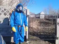 Дезинсекция. Уничтожение насекомых., фотография 2