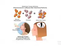 Феромоны мужские для привлечения женщин, фотография 2