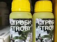 Строби Basf 10 г