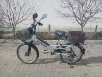 Green City e-ALFA GL 500w 48v