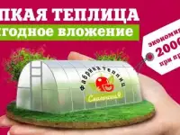 теплици