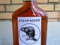 Настой струи бобра 250 мл