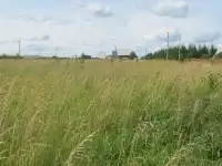Ляды, ИЖС, участок 12 соток.